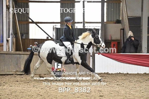 BPP_8382 - PRELIM 3
