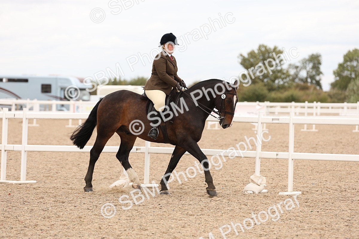 SBM_19512 - Class 215 - Ridden Show cob
