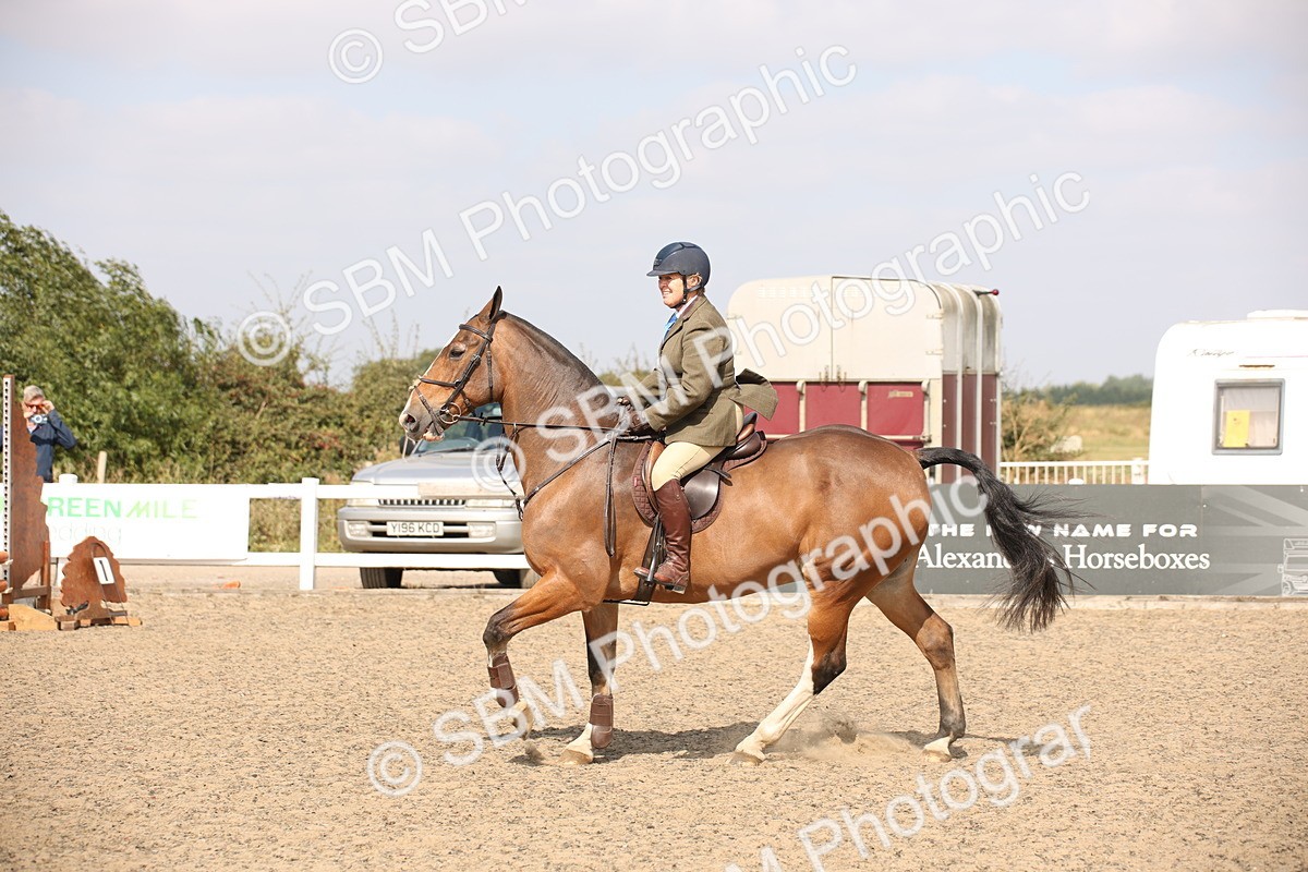 SBM_15021 - Class 408a - Working Veteran 70cm (15-19