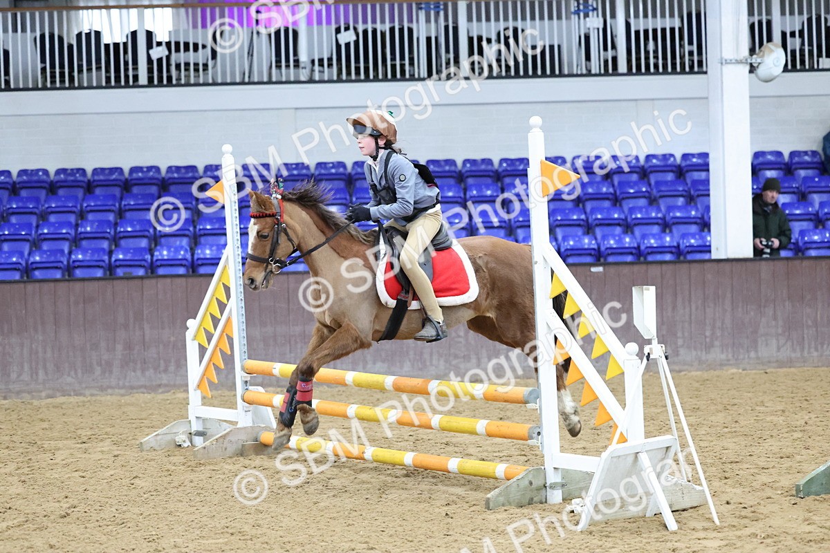 SBM_001100 - Class 3 - Christmas Tree Stakes - 60cm