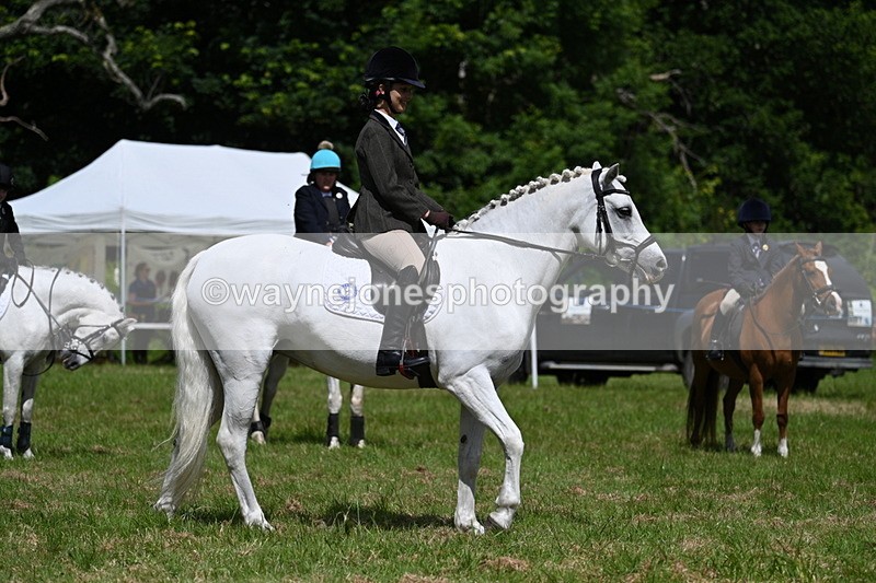 WJ7_1807 - Class 9 Pony Club Pony