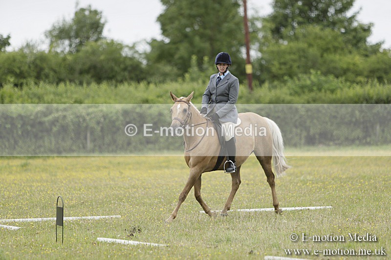 BVR160717-1197 - Class 2 Dressage 16/07/17
