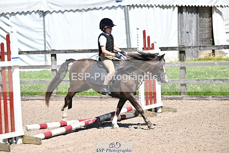 240729B-113658-02457 - Showjumping Competition