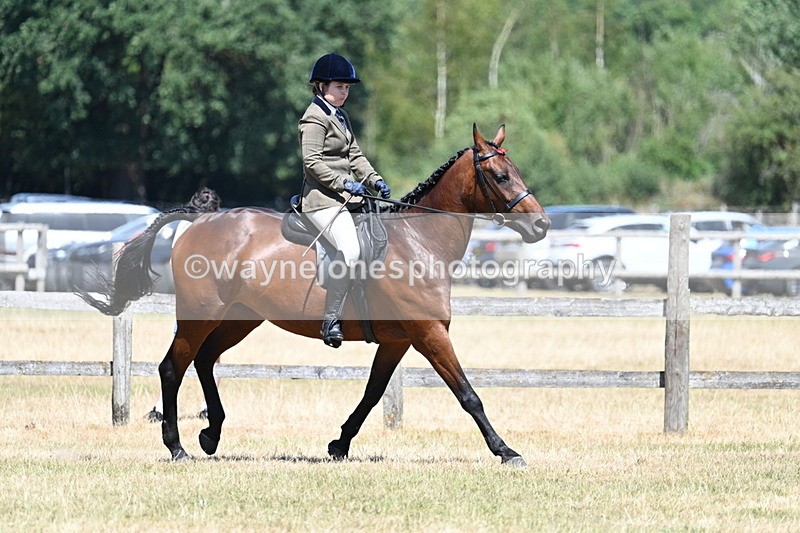 WJ7_3142 - Class 7 Riding Club Show Horse