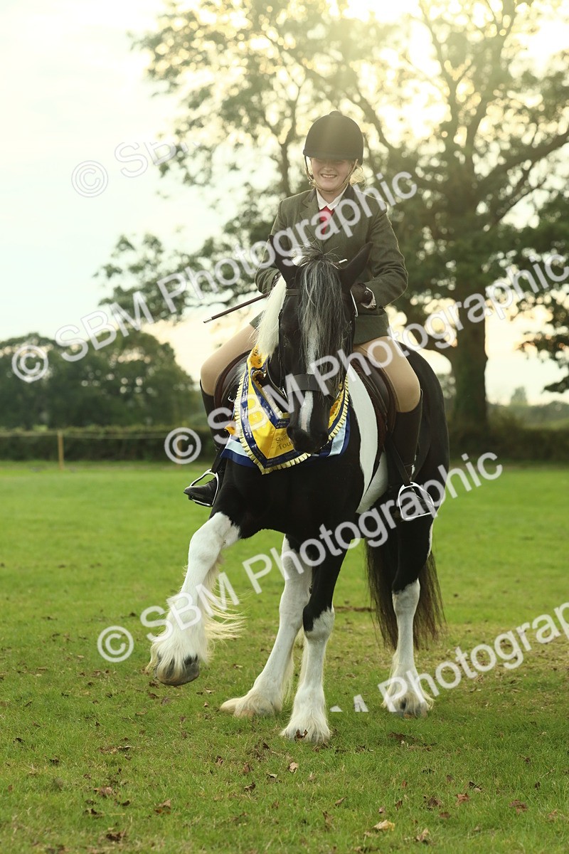 SBM_75330 - Super Supreme Championship