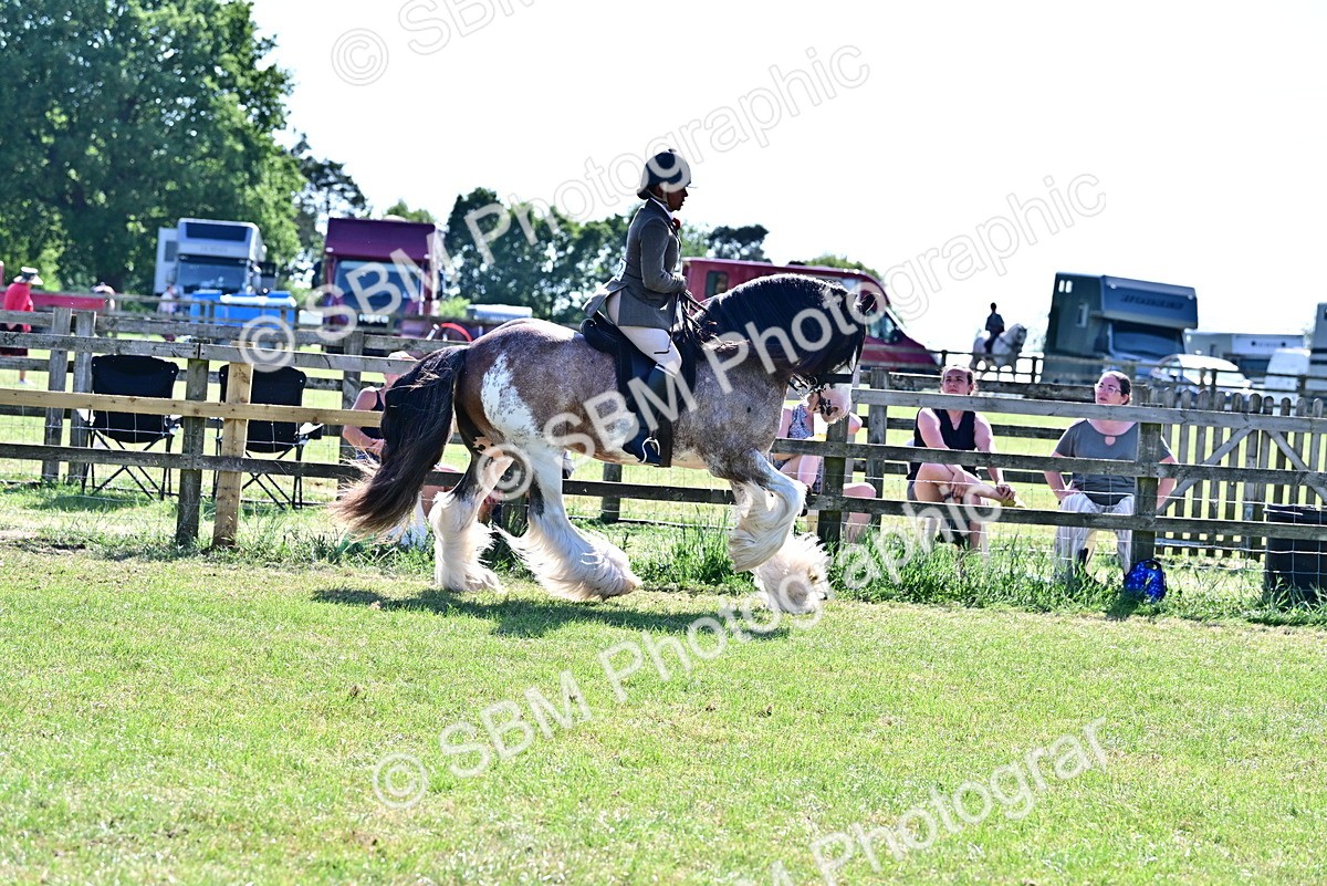 SBM_19430 - Class 101-102 - BSPS LIHS Performance Coloured Horse/Pony