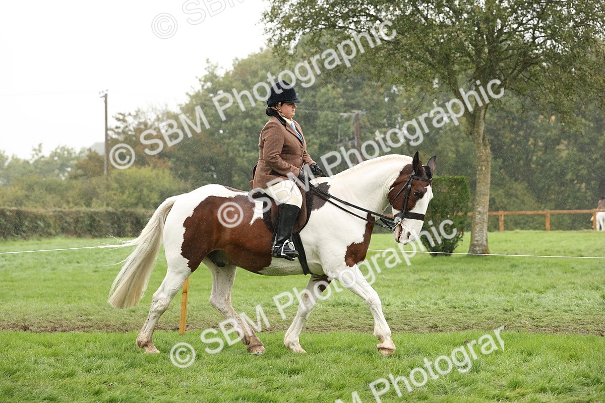 SBM_69798 - S69 - Show Cob Ridden