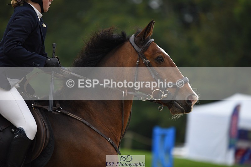 231001-124332-02488 - Cls 2 80cm 12.20 to End