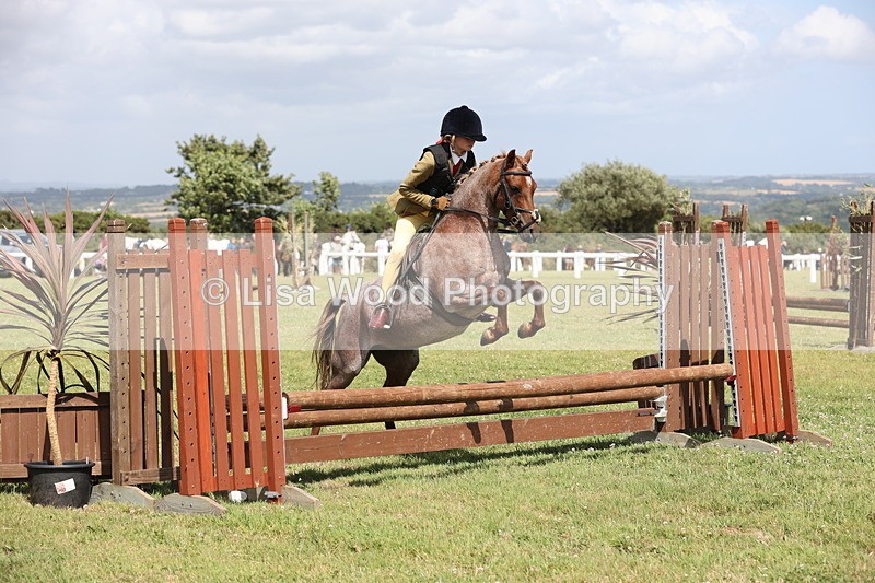 JPP_2125 - Class 19: Working Hunter 60cm