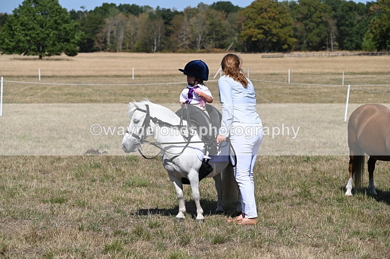 WJ6_9523 - Class 40 Cheekiest Pony/Horse