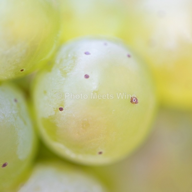  - Details & Abstracts / Details & Abstrakte Bilder