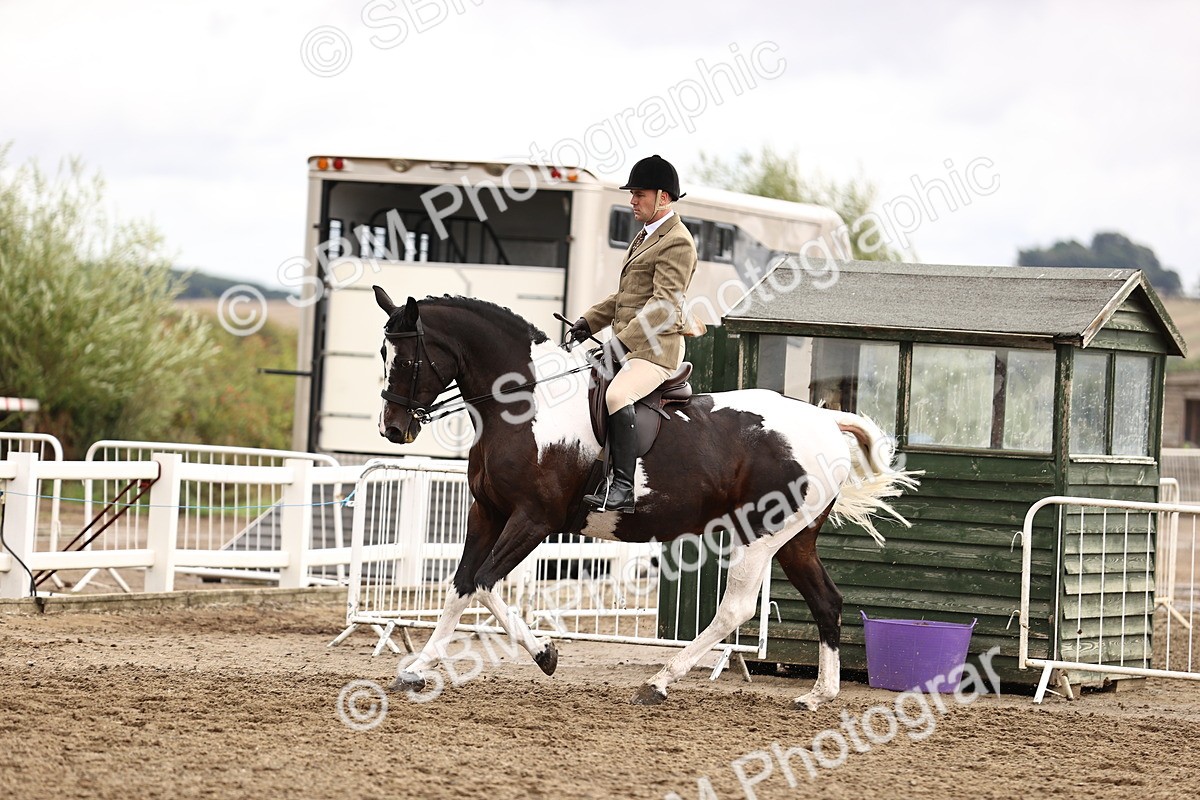 SBM_00599 - Class 53 - Ridden Competition Horse Pony