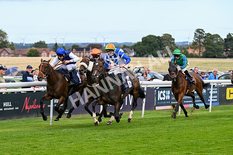 160926-Race 2-Northern Viola-9709 - Race 2 2.43pm Young Guns Nursery Handicap