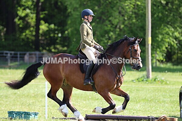 IMG_4377 - Working Hunter