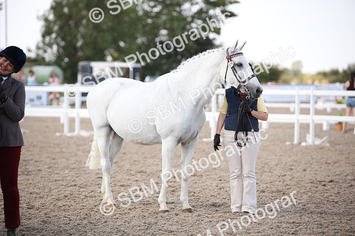 SBM_07128 - Class 25 IH Foreign Breeds- Pure bred