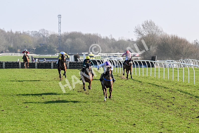 040326-Race 1-Pigeon House-8360 - Race 1