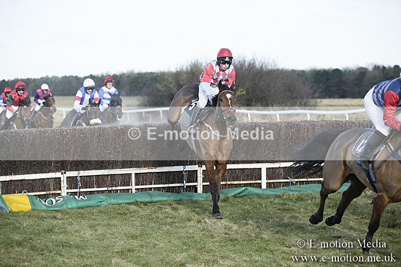 PtP 070118 -167 - Larkhill Racing Club Point to Point Larkhill 07/01/2018
