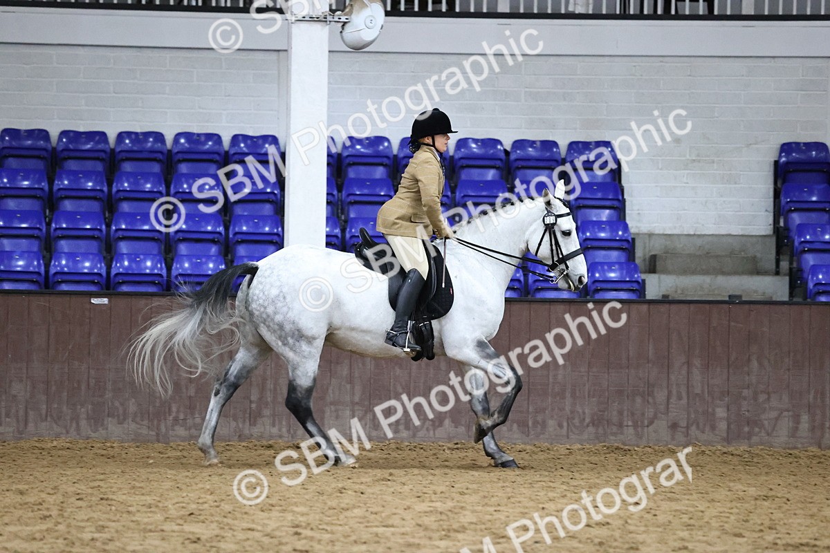 SBM_6358 - Class 45-42 - Ridden Irish Breeds-Ridden Cob