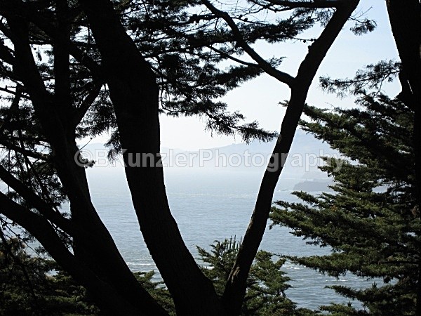  - San Francisco Coast