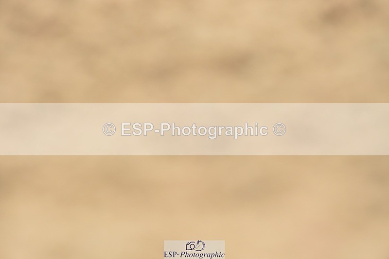 250622-144456-15700 - UnA Cls 3+4 Prelim 1+2