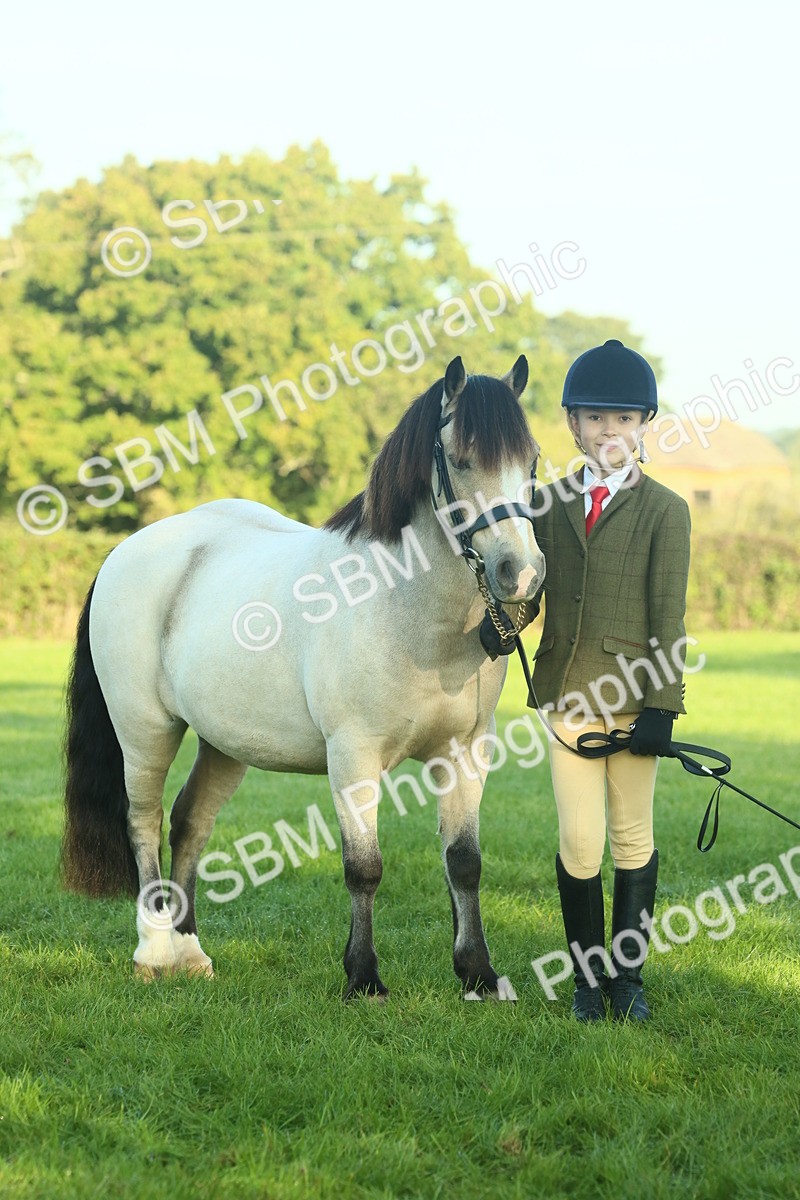 SBM_57461 - S37 - Starters In Hand Showing