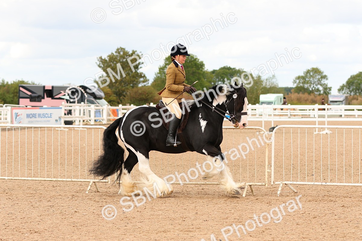 SBM_15661 - Class 215 - Ridden Traditional - Native Cobs