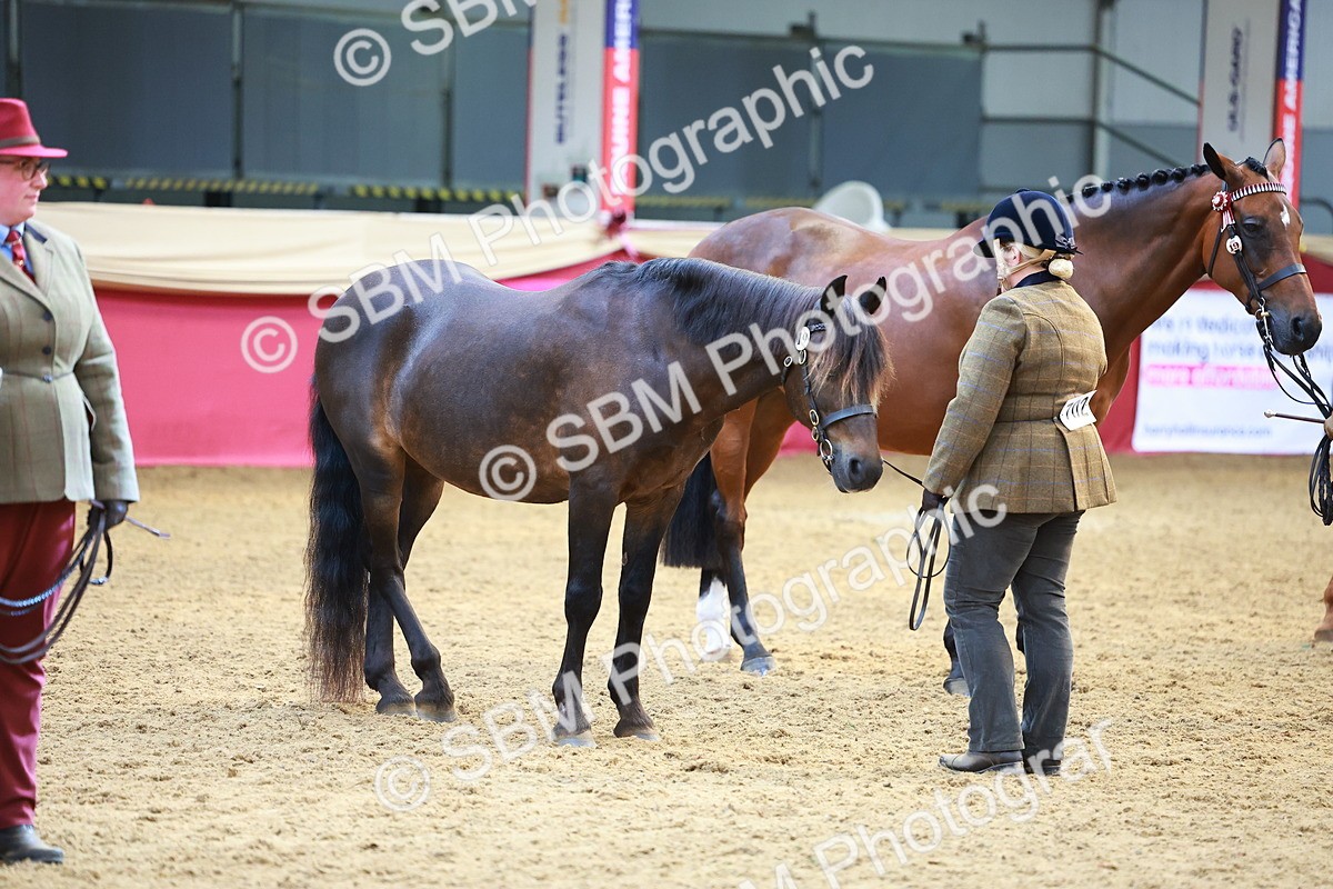 SBM_04290 - Class 9R - IH Pre-Vet
