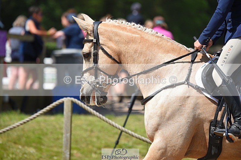 230528-113530-15277 - 356-THE_DUMB_BLONDE-Kat_Raybould-SUNTrotUp+SJ