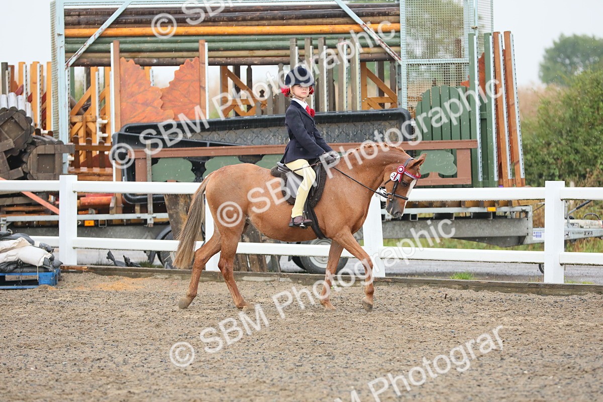SBM_20540 - Class 804 - Ridden Veteran Pony