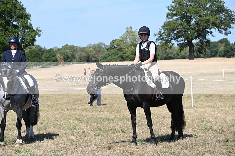 WJ6_9013 - Class 38 Ridden Riding Horse/Pony