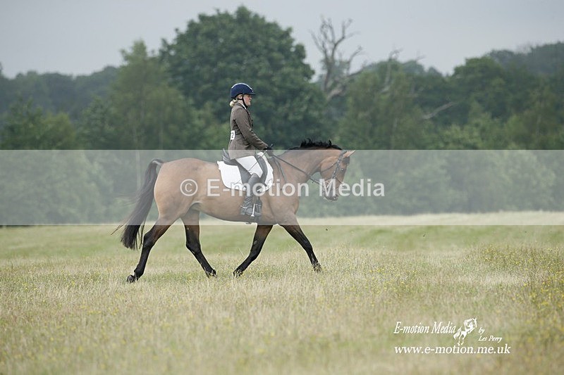 BVRC 030721 577 - Bourne Valley Riding Club Dressage 03/07/21
