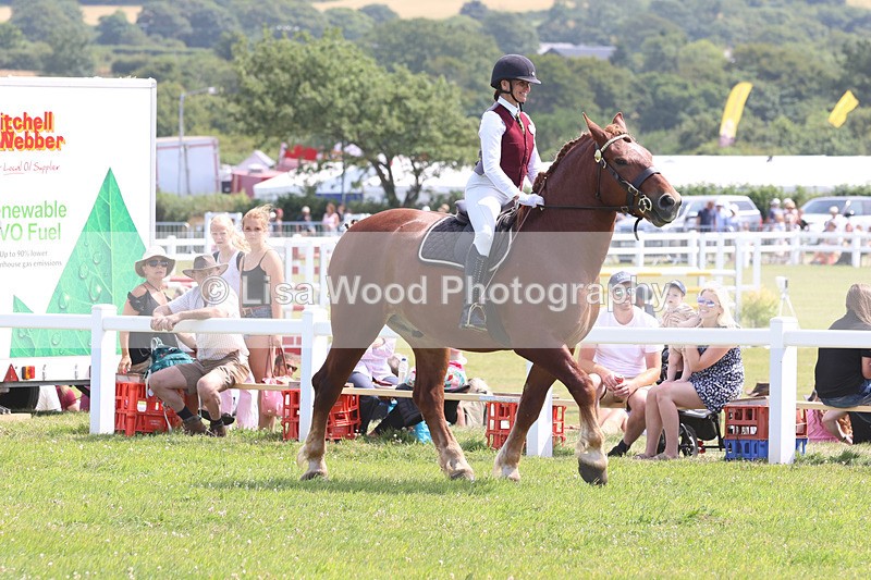 JPP_3497 - Class 15: Heavy Horse Ridden