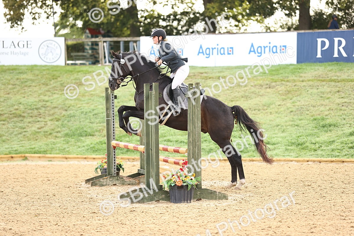 SBM_55145 - J62 - Clear Round 90cm