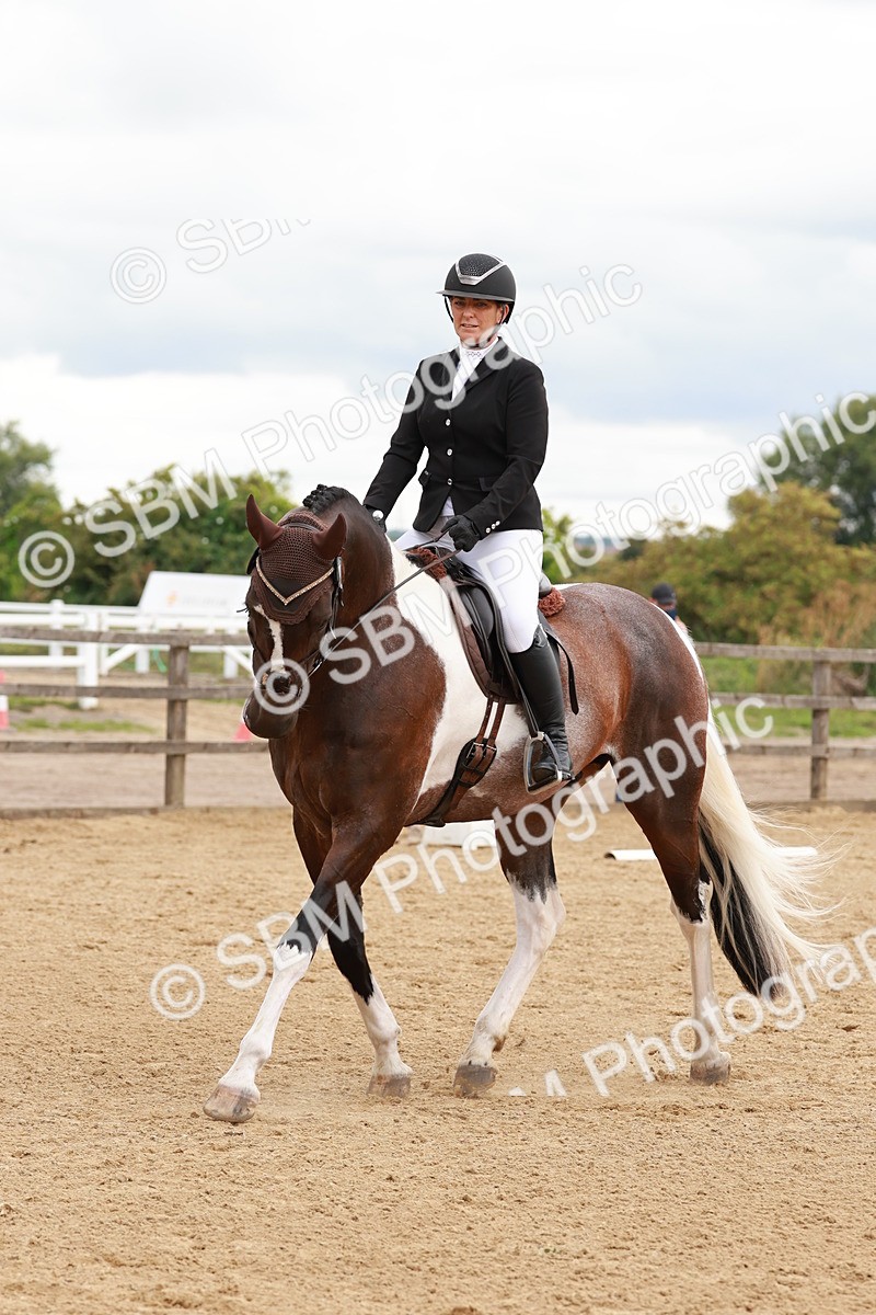 SBM_002740 - Novice 2