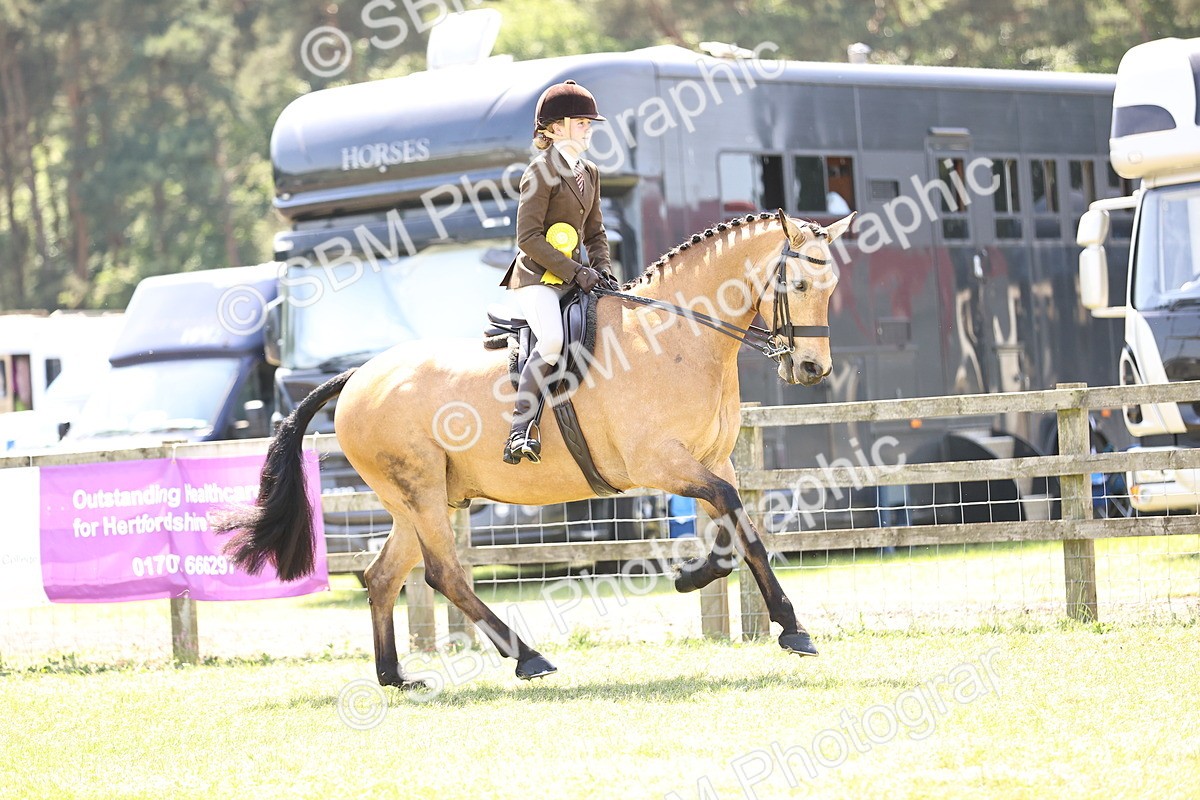 SBM_15252 - Class 79-80 - LIHS BSHA Rising Star Ridden Hunter