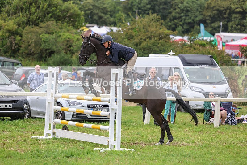 3E7A8144 - Class 7: Senior Newcomers/1.10m open