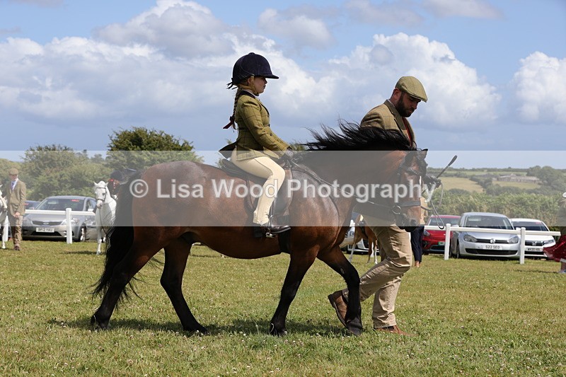 1X9A5197 - Class 36: NPS M&M Lead Rein