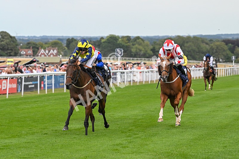 140825-Race 2-Lady Britain-0633 - Race 2