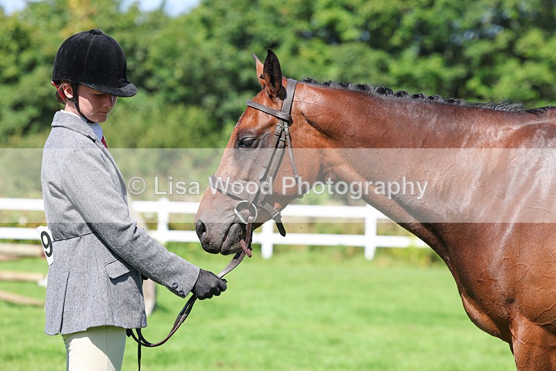 3E7A8491 - Class 4: Novice working Hunter