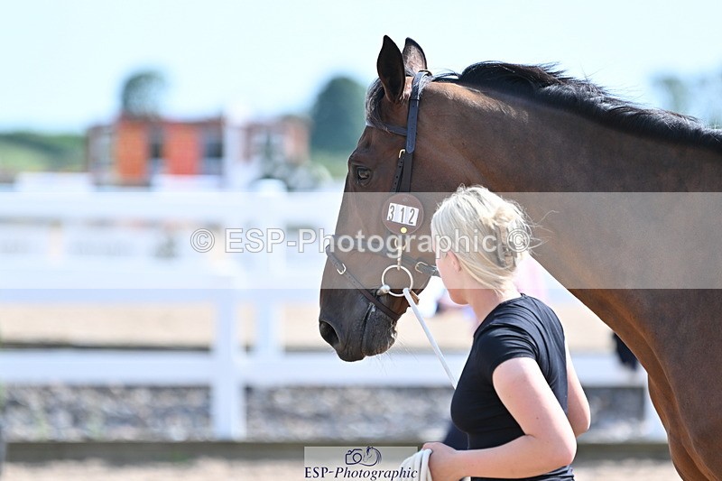 240717A-154443-03026 - Trot Up 3pm to 4pm