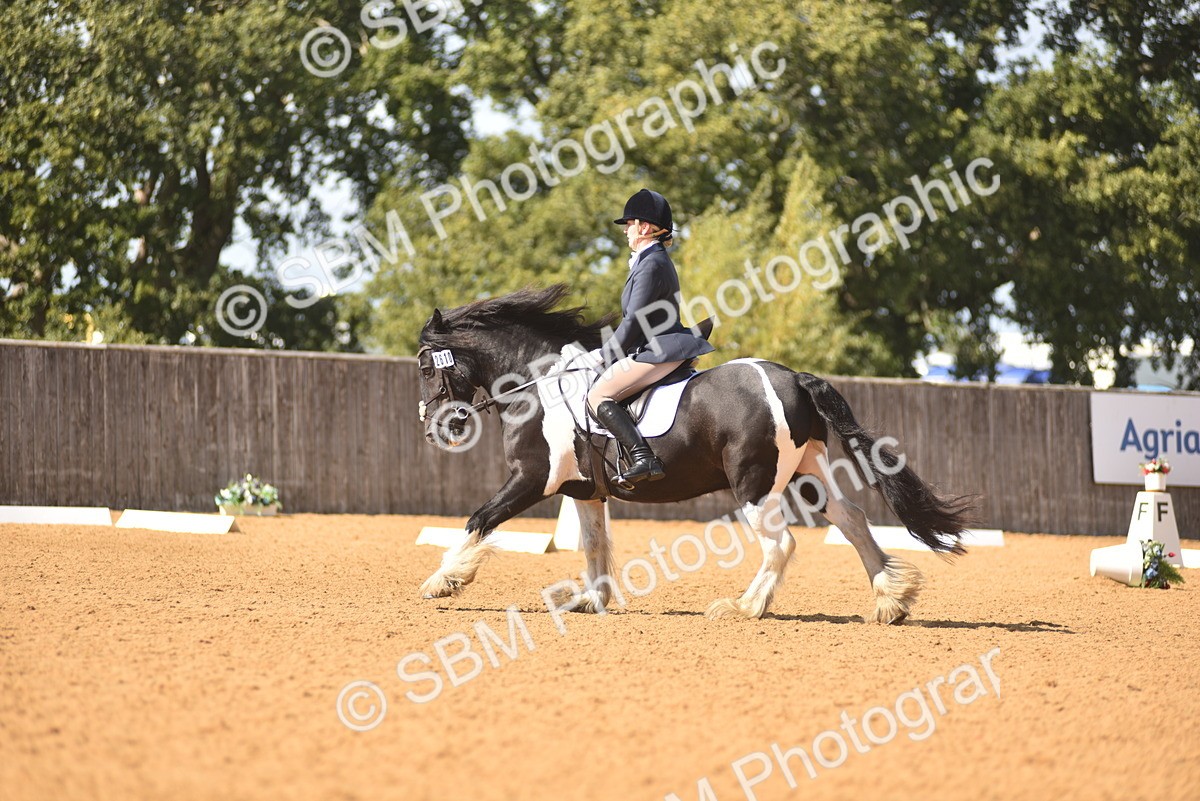 SBM_22503 - D13 - Grand Tour Championship Prelim 3