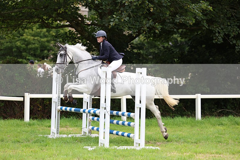 3E7A7042 - Class 5: Senior British Novice/90cm open