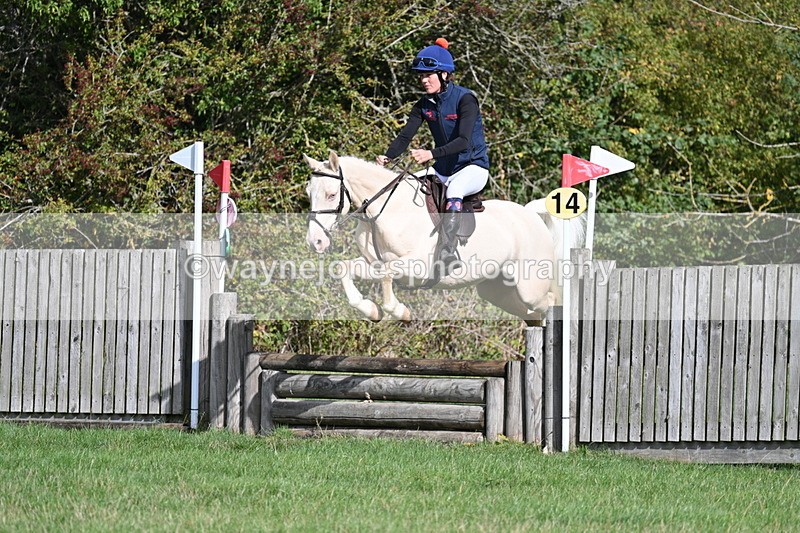 WJ7_8485 - 60cm Pairs