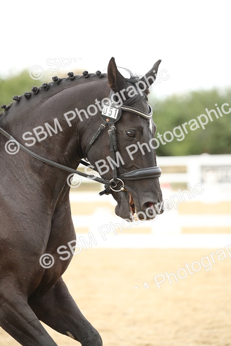 SBM_002942 - Class 6 - Elementary 5 - 14.50-15.46