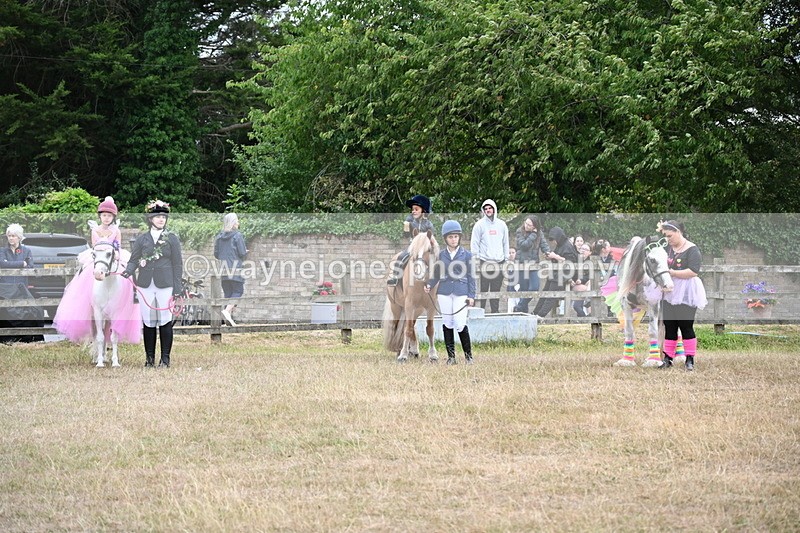 WJ6_9197 - Class 11 Fancy Dress