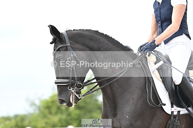 240621A-153410-04739 - Cls 13 BD Adv Medium 91