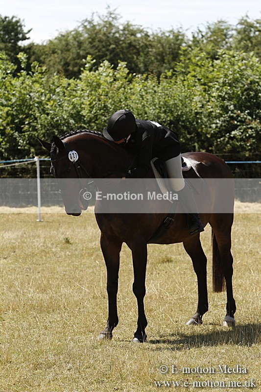 _BS_0851 - BVRC Show 2018 Ring 1