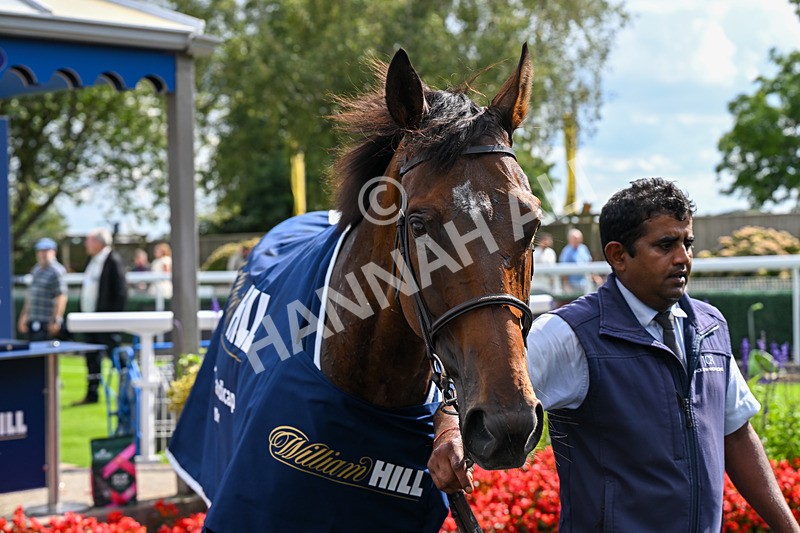 300826-Race 1-Galyx-9465 - Race 1 1.40pm William Hill Silver Cup Handicap