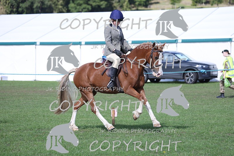 APP_3084 - Class 11 Veterans ridden