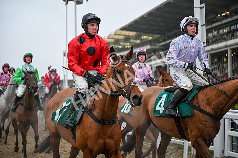 131224-Race 3-Magic Seven-9545 - Race 3